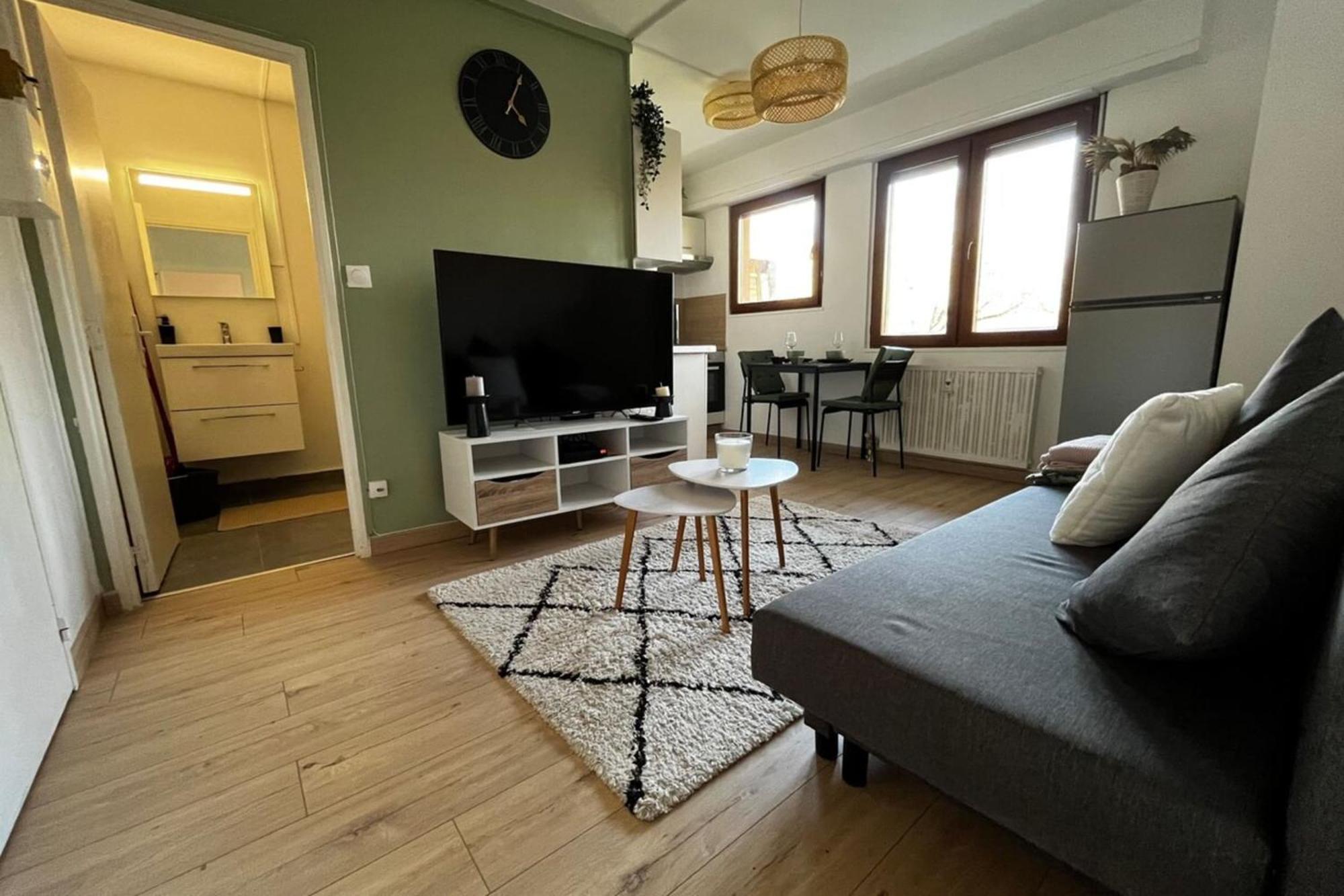 Cosy Rent Strasbourg Appartement Wifi Terrasse Exterior photo