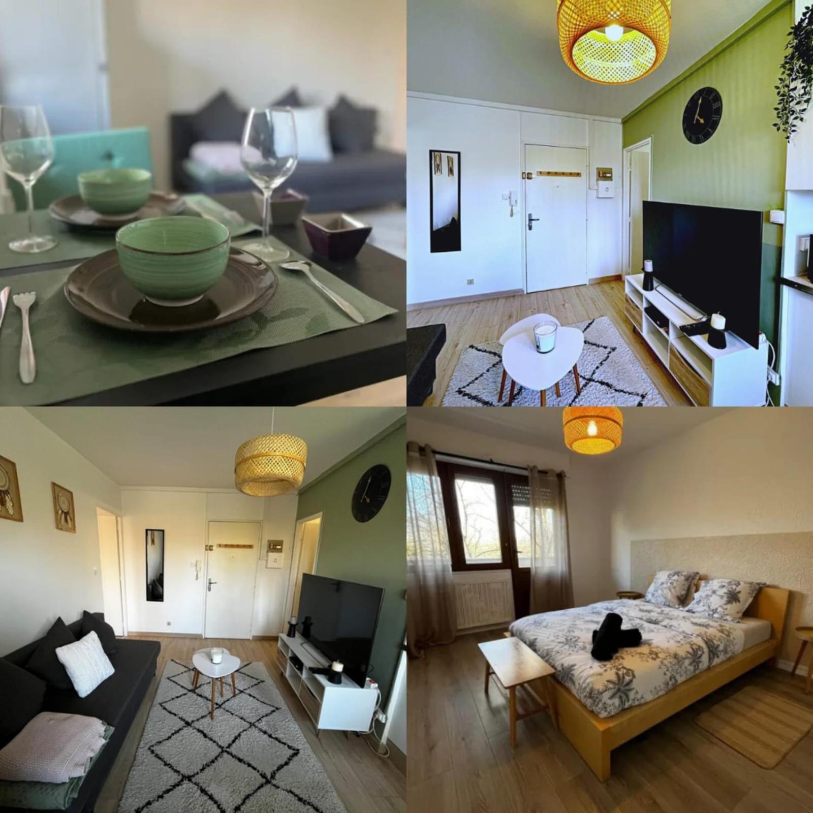 Cosy Rent Strasbourg Appartement Wifi Terrasse Exterior photo